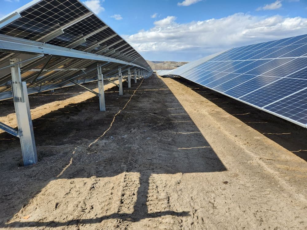 Solar panel revegetation projects