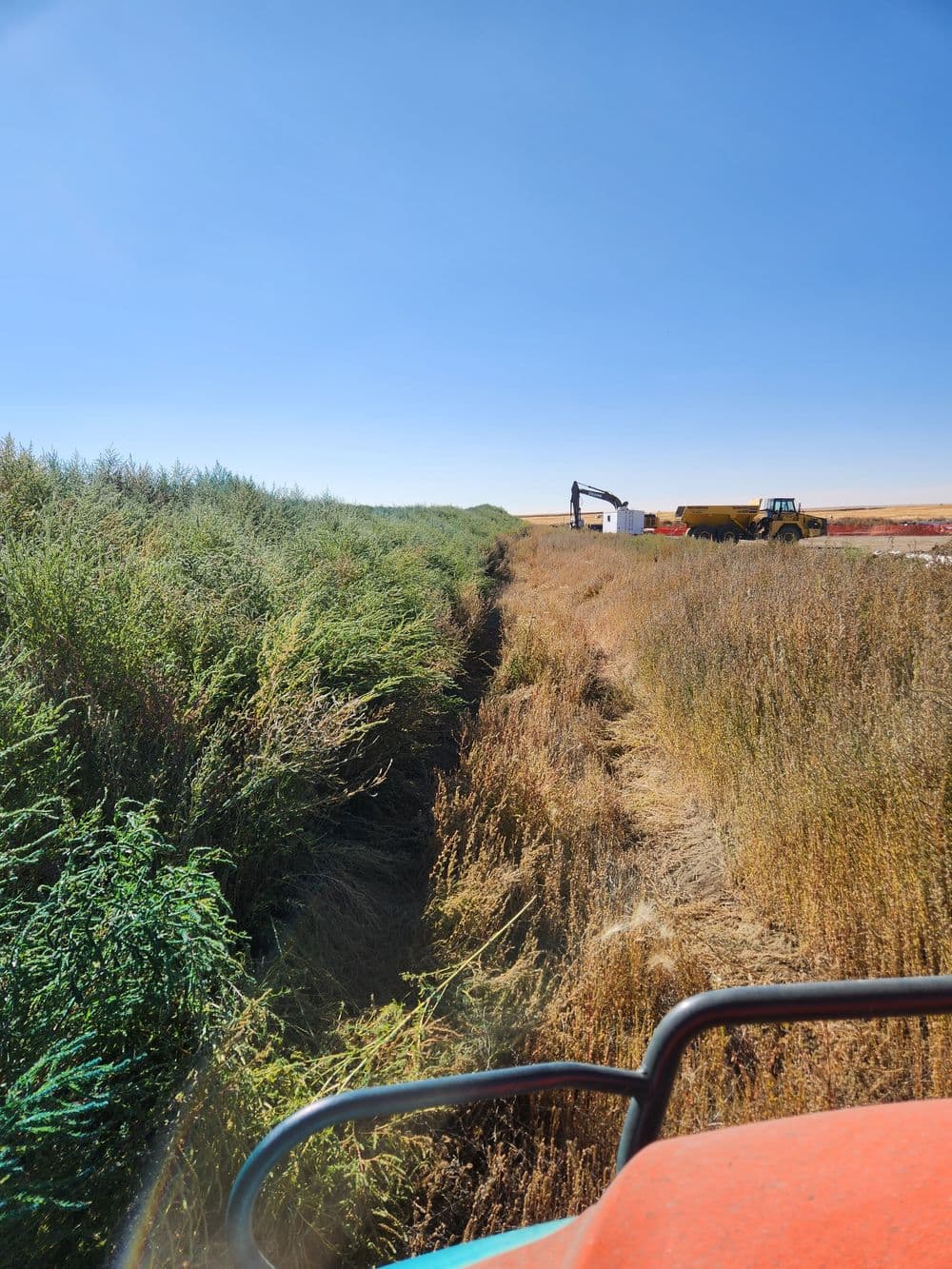 The diffrence herbicide can make compared to not using herbicide.