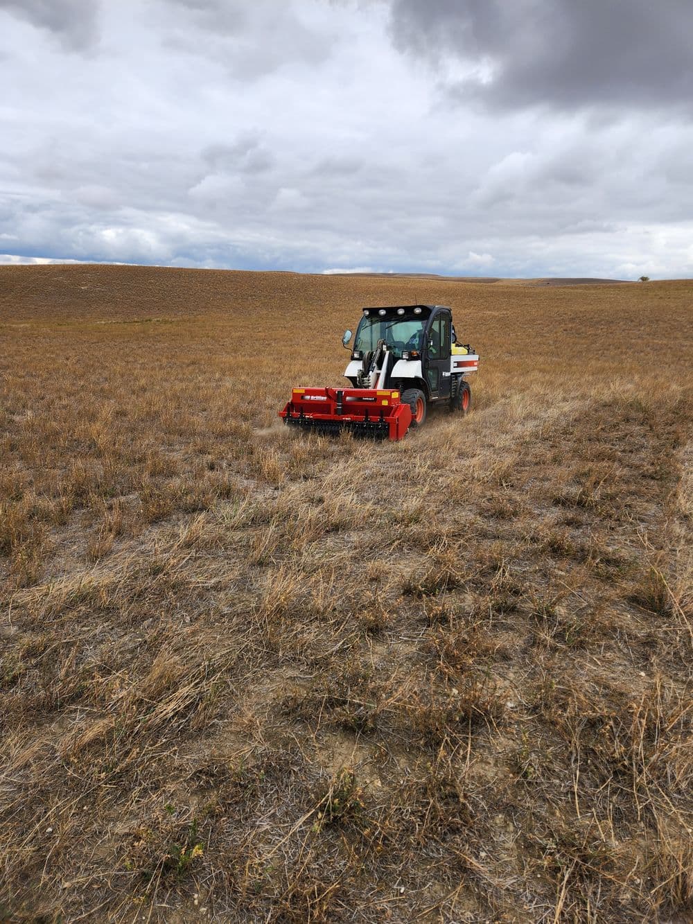 Interseeding reclaimation sites
